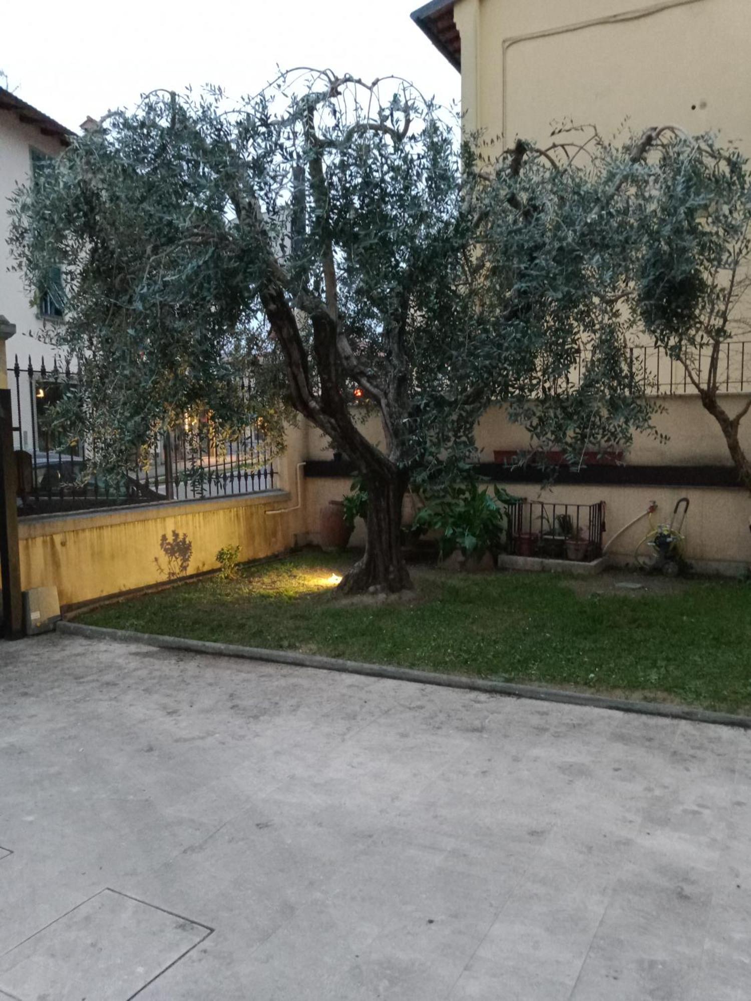 Bercos Deluxe Apartman Prato  Kültér fotó